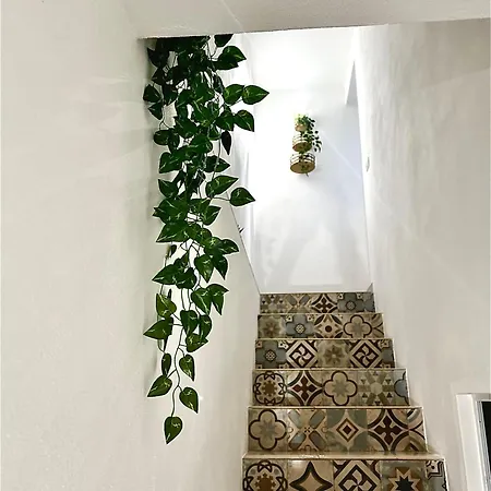 Sottovento Tatil Evi *